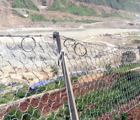 環(huán)形防護網